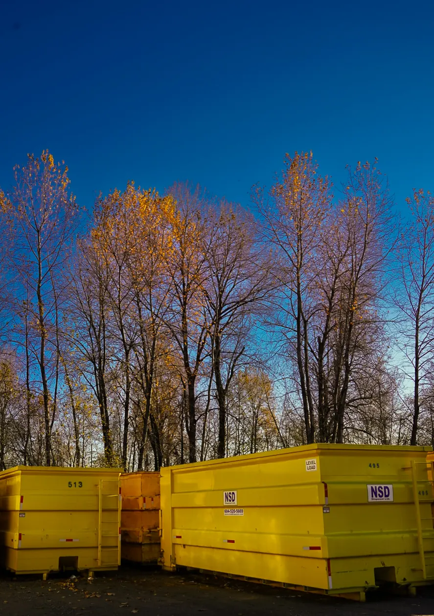 Row of yellow NSD roll-off bins in front of autumn trees
